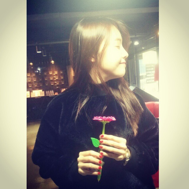 유니스텔라 이미지