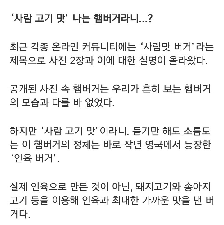 사람 고기 맛나는 햄버거 | 인스티즈