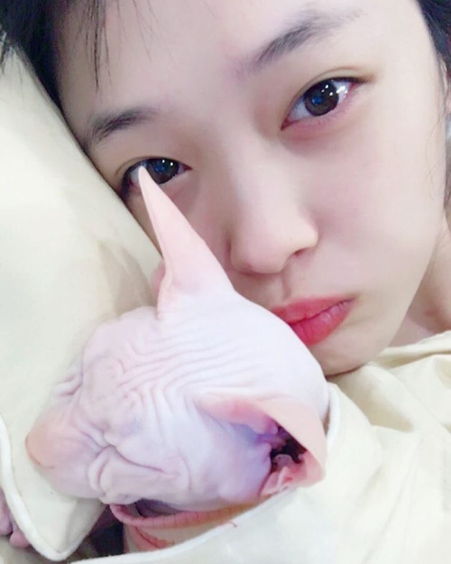 설리 최근 | 인스티즈