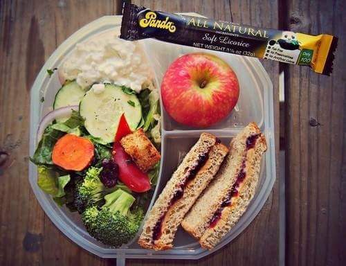 다이어터의 도시락 | 인스티즈