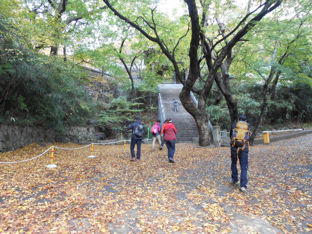쇠미산식당 이미지