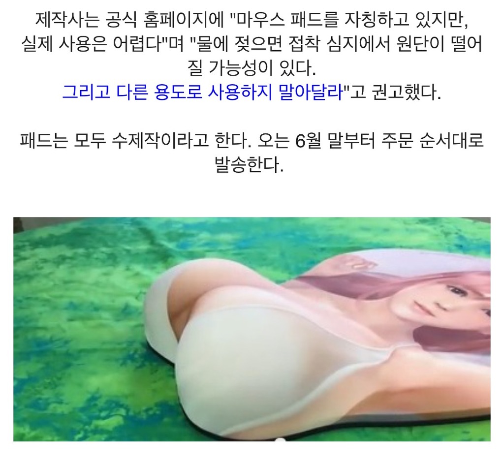 성진국의 25만원짜리 마우스 패드 | 인스티즈