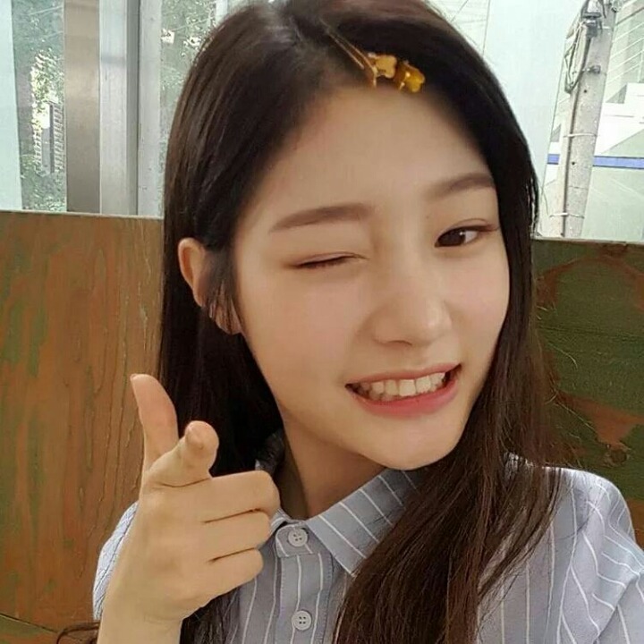 오늘자 댕채연.jpg | 인스티즈
