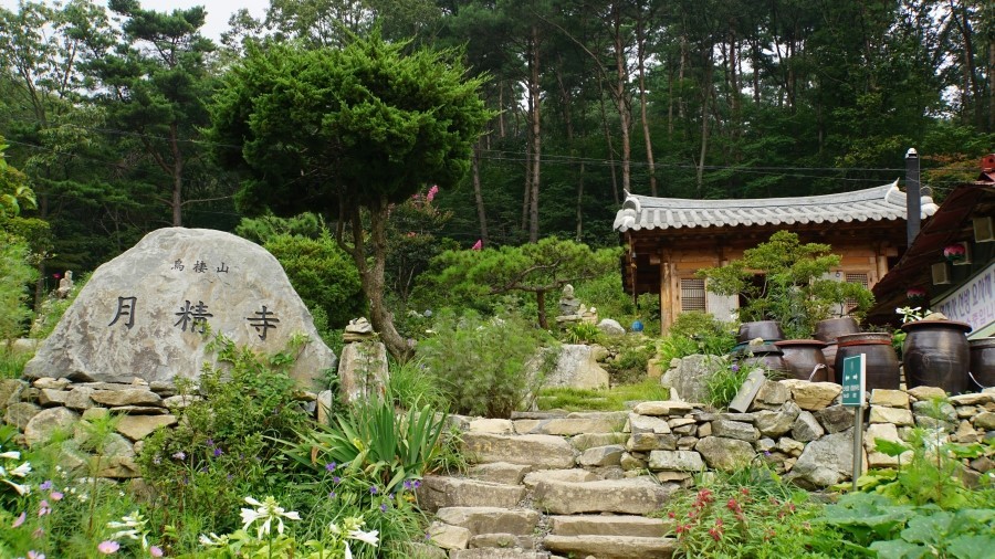 오서산자연휴양림 이미지