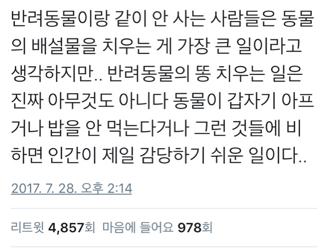 반려동물 안키워본 사람은 잘 모르는것 | 인스티즈