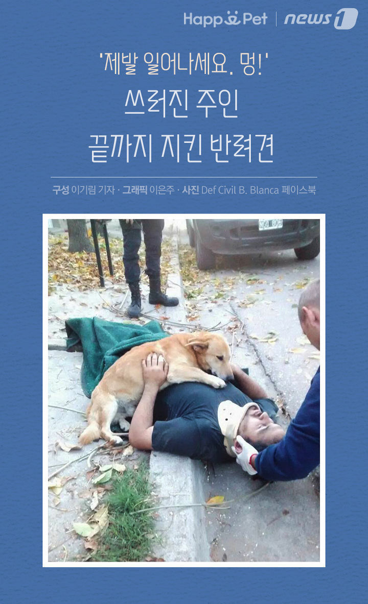 내 주인님 좀 살려주세요ㅜㅜ | 인스티즈