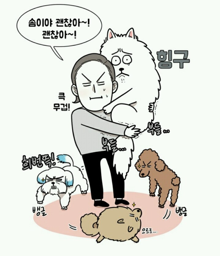대형견 키우는 사람 공감 | 인스티즈