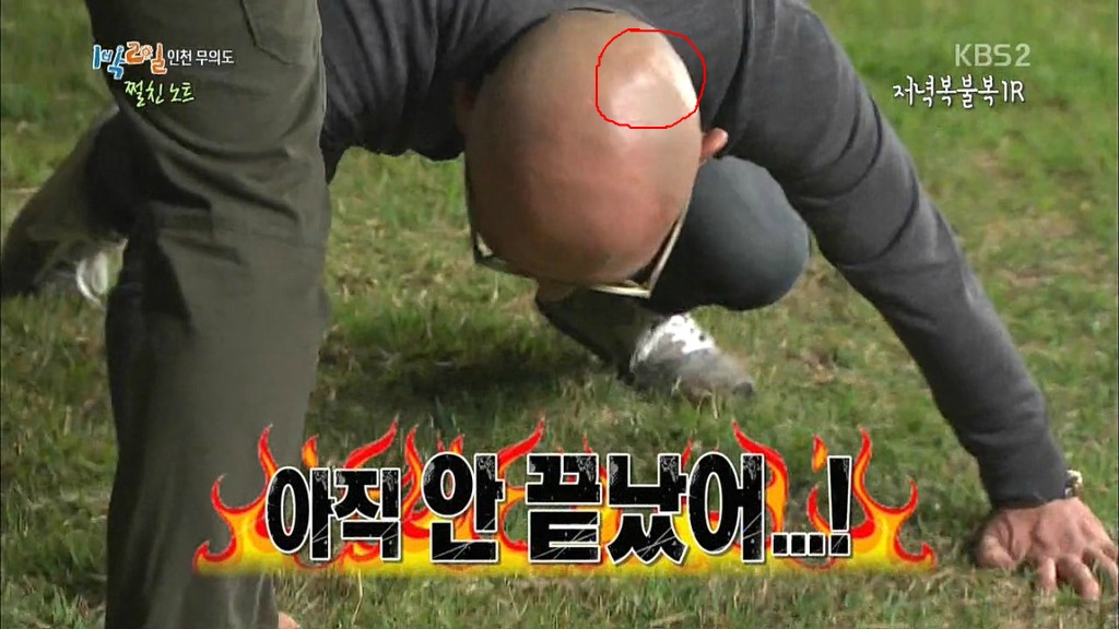 나무엑터스 대표의 머리.jpg | 인스티즈