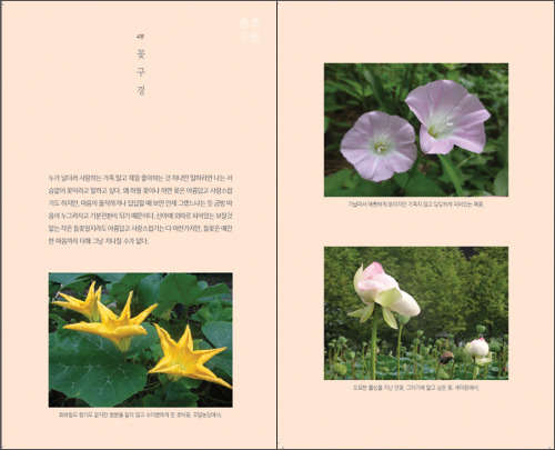 우자 이미지
