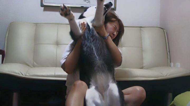 고양이 모자가 부러웠던 여자 | 인스티즈