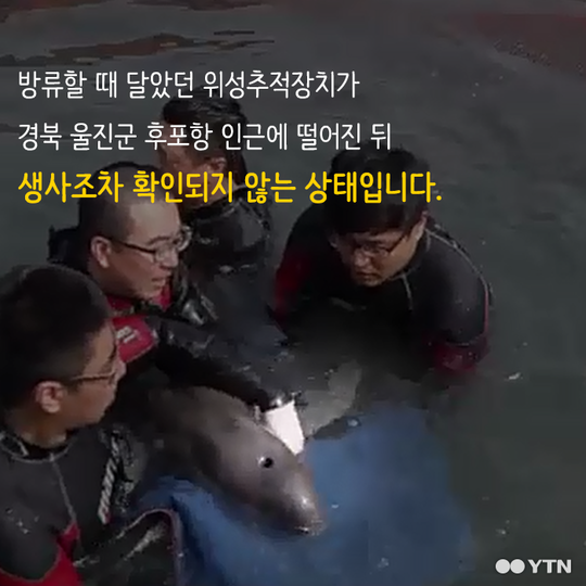 멸종 위기종을 수족관에 전시하는 이상한 나라 | 인스티즈