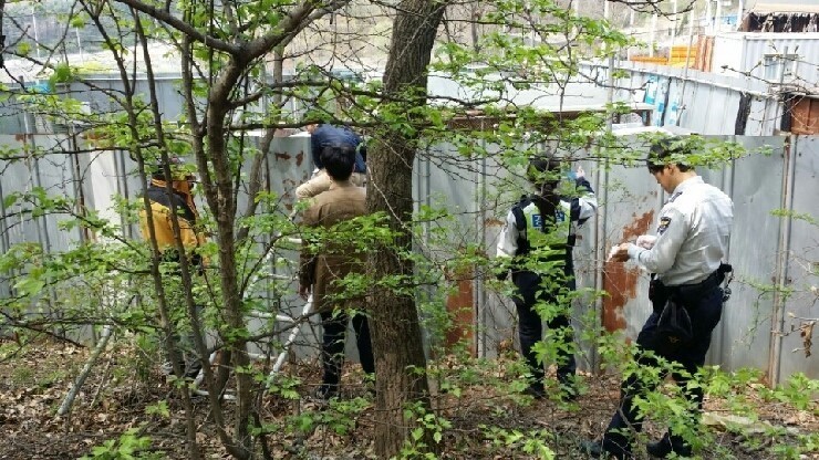 안락사없는 보호소 내사바가 철거를 앞두고 모자른 공사모금비 모금중이에요ㅠㅠ 냥이사료,목줄,모기향 등도 부족해요 (불법개사육장에서 구조된 아이들 이야기) | 인스티즈