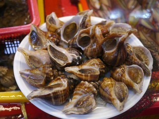 05수산 이미지