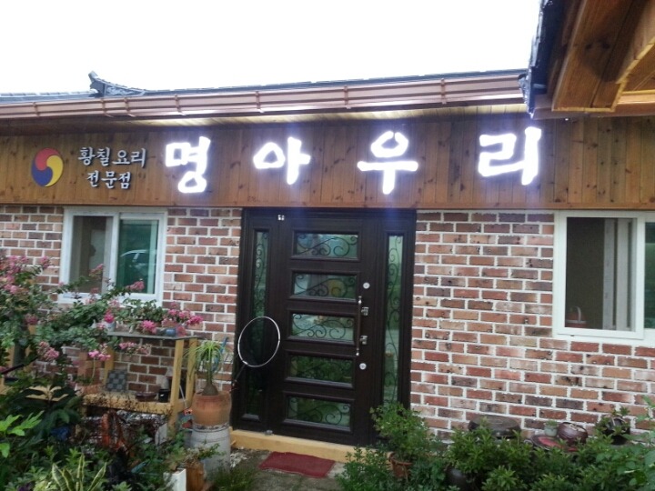 황칠오리 이미지