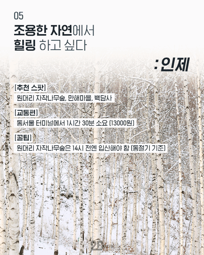 결정 장애를 위한 국내 겨울 여행지 추천 10.jpg | 인스티즈