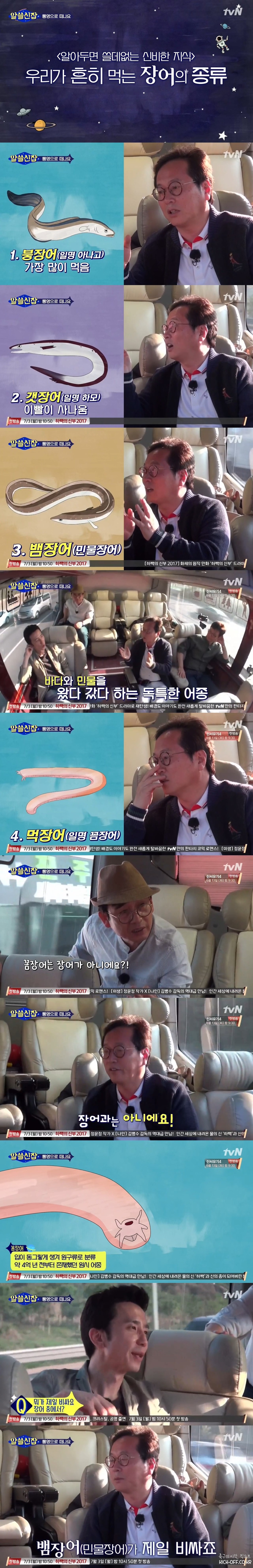 [알쓸신잡] 우리가 흔히 먹는 장어의 종류 | 인스티즈