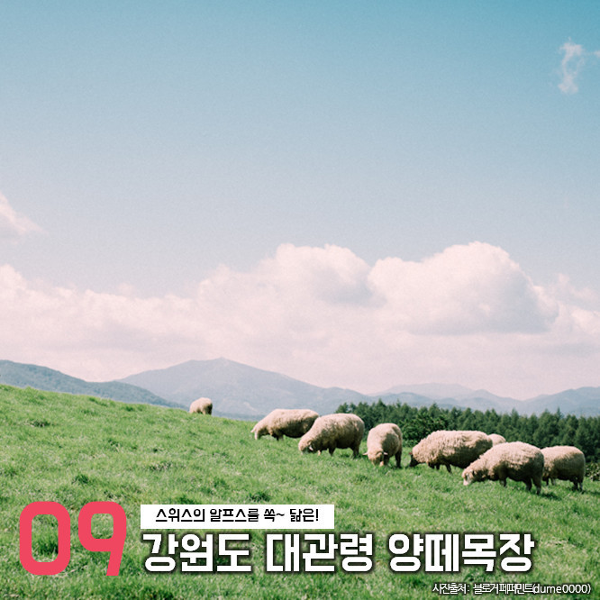 해외같은 국내여행지 BEST 10 | 인스티즈