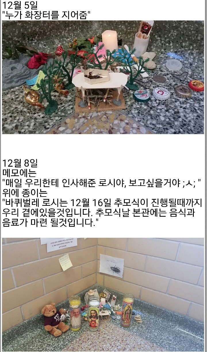 어느 대학교의 장례식... | 인스티즈