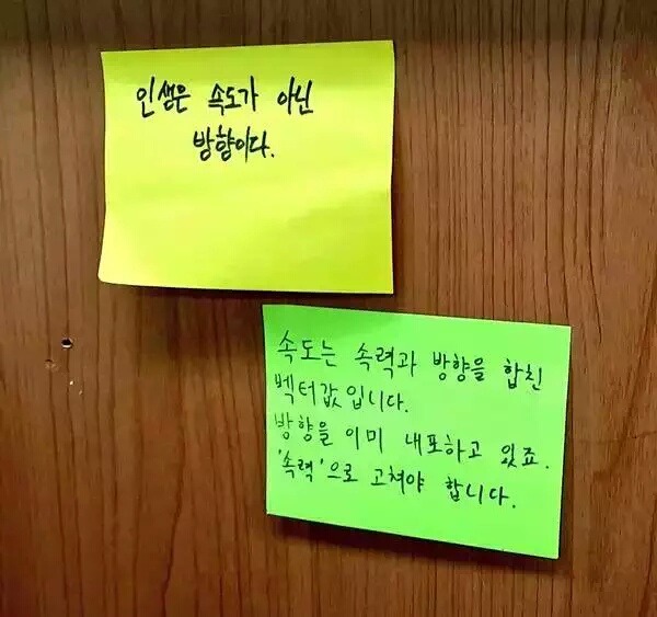 문과생 ㅂㄷㅂㄷ | 인스티즈