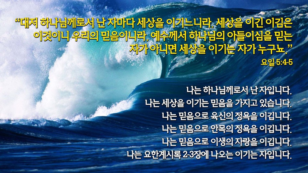 새창조 이미지