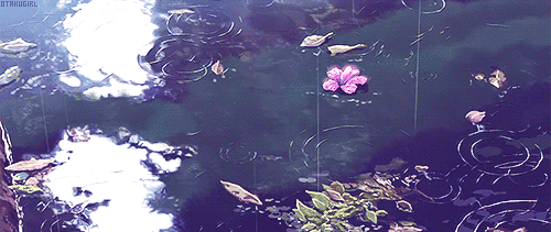 아름다운 애니메이션 배경.gif | 인스티즈