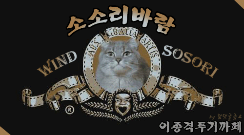 영국에서 유행했던 시체 사진찍기 | 인스티즈