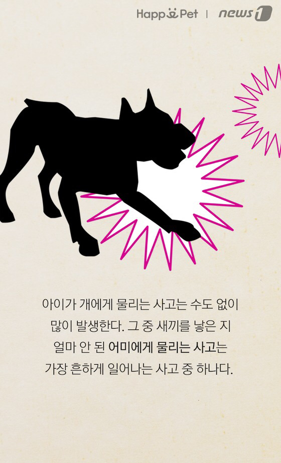 세상에 안 무는 개는 없다 | 인스티즈