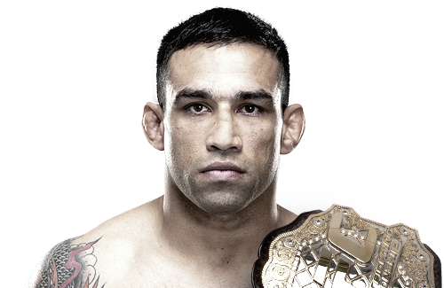 UFC, 가장 인기있는 체급은?.jpg | 인스티즈