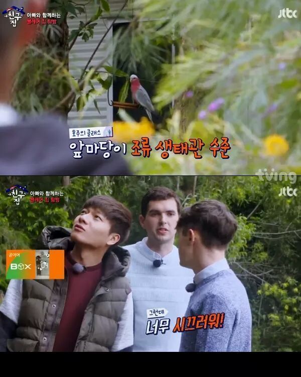 [내친구의집은어디인가] 알고보니 호주부자 블레어네 집 | 인스티즈