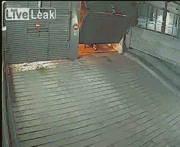쌀 보리.gif | 인스티즈