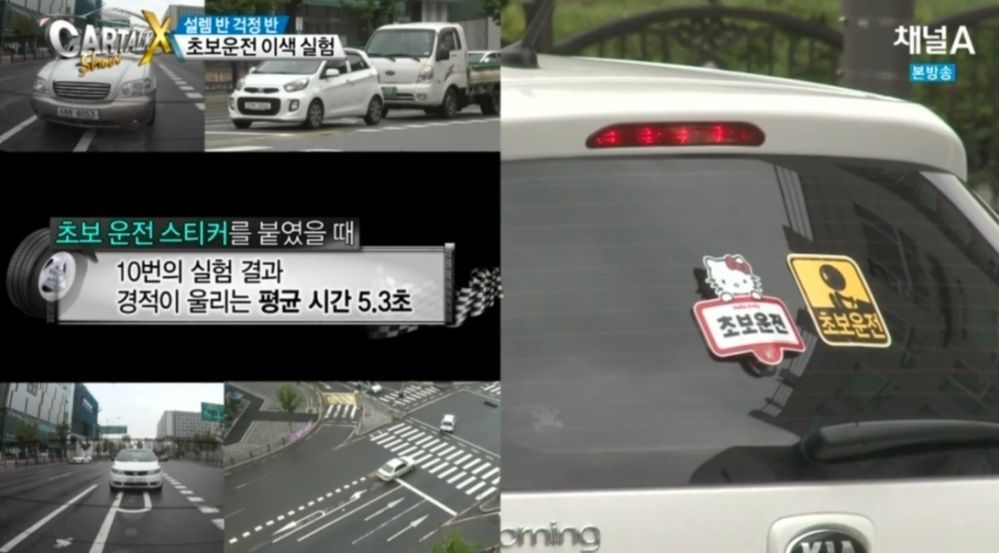 문신토시가 존재하는 이유 | 인스티즈