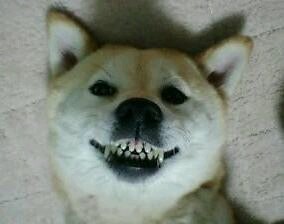 동네마트 이미지