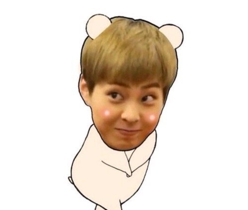 닥꽃 이미지