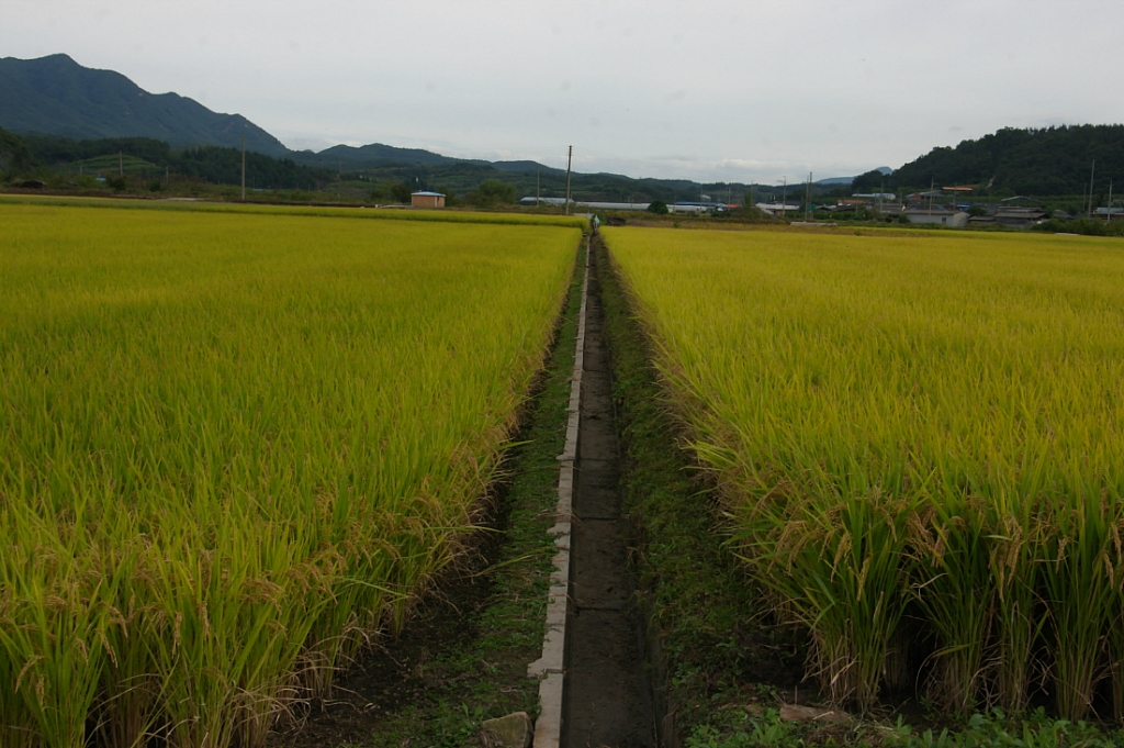 254A874A525E85151F8627