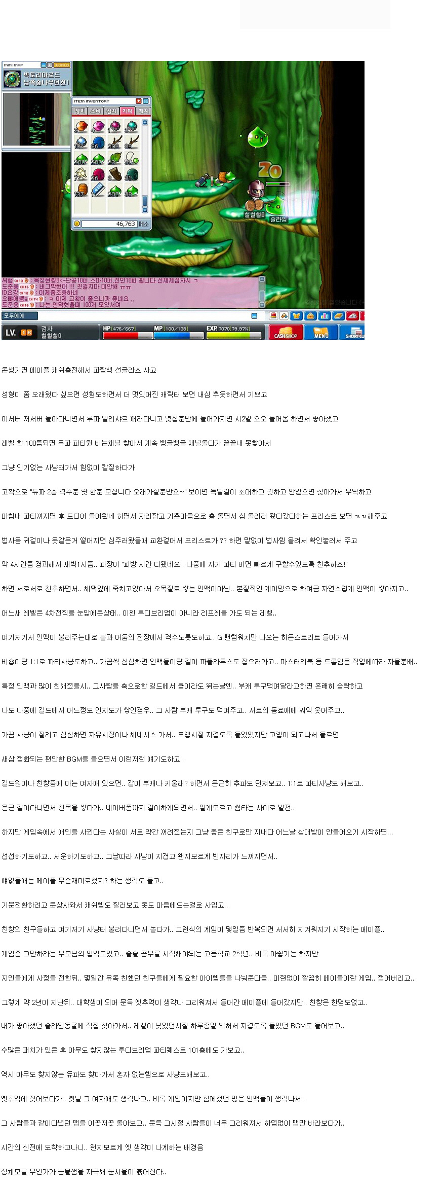 어느 디시인의 메이플에 대한 추억 | 인스티즈