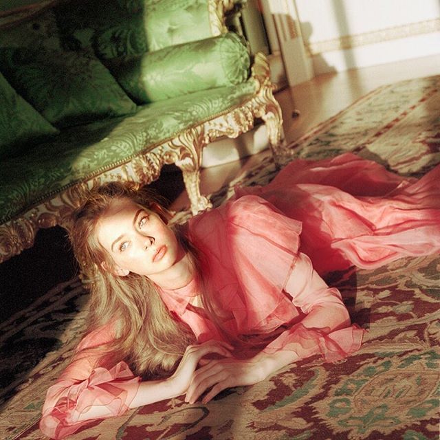 네덜란스산 엘프.JPG | 인스티즈