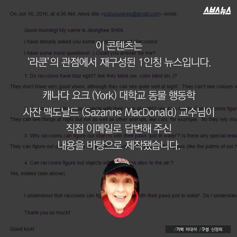 라쿤이 물속에 먹이를 넣는 이유 | 인스티즈