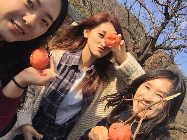 공주도령서당 이미지