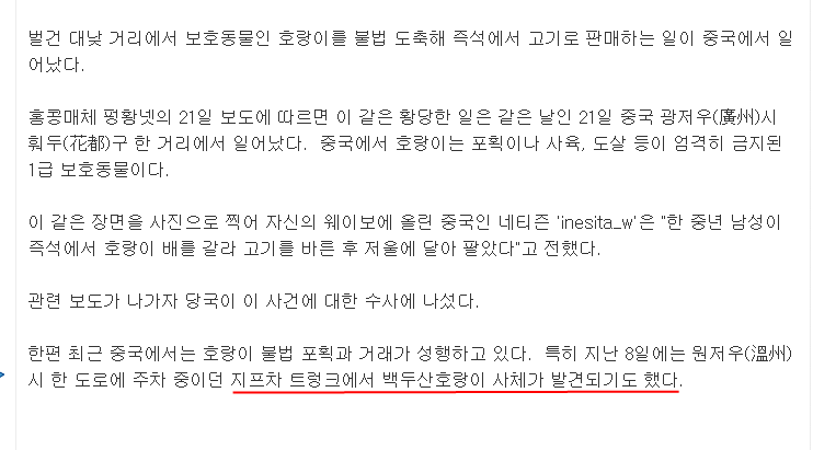 고기호랑이 이미지