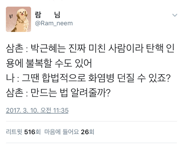 삼촌:ㄹ혜는 진짜 미친 사람이라 탄핵인용에 불복할 수도 있어 | 인스티즈