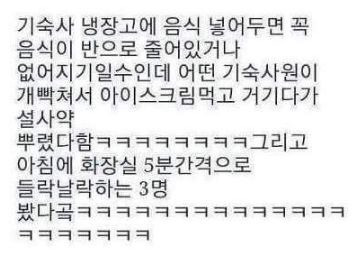주인이 잘했다 vs 잘못했다 | 인스티즈