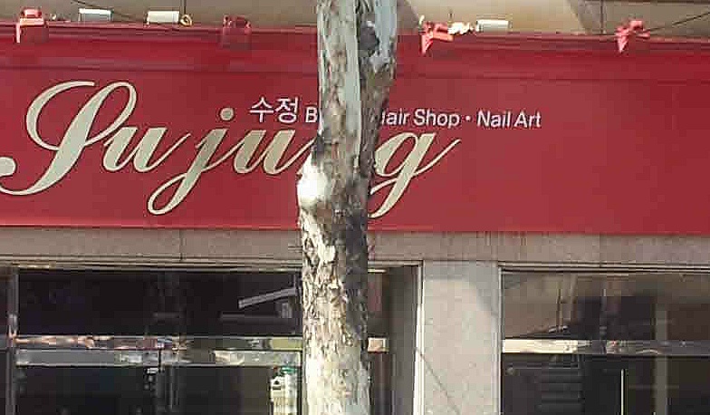 수정헤어샵 이미지
