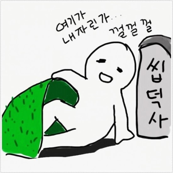 새끼 고양이와 올빼미.JPG | 인스티즈