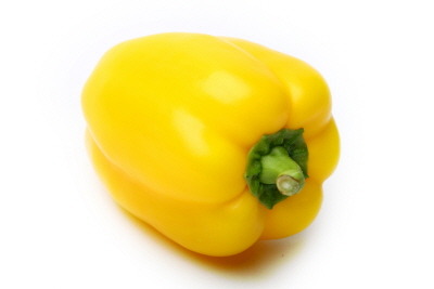 비티푸드 이미지