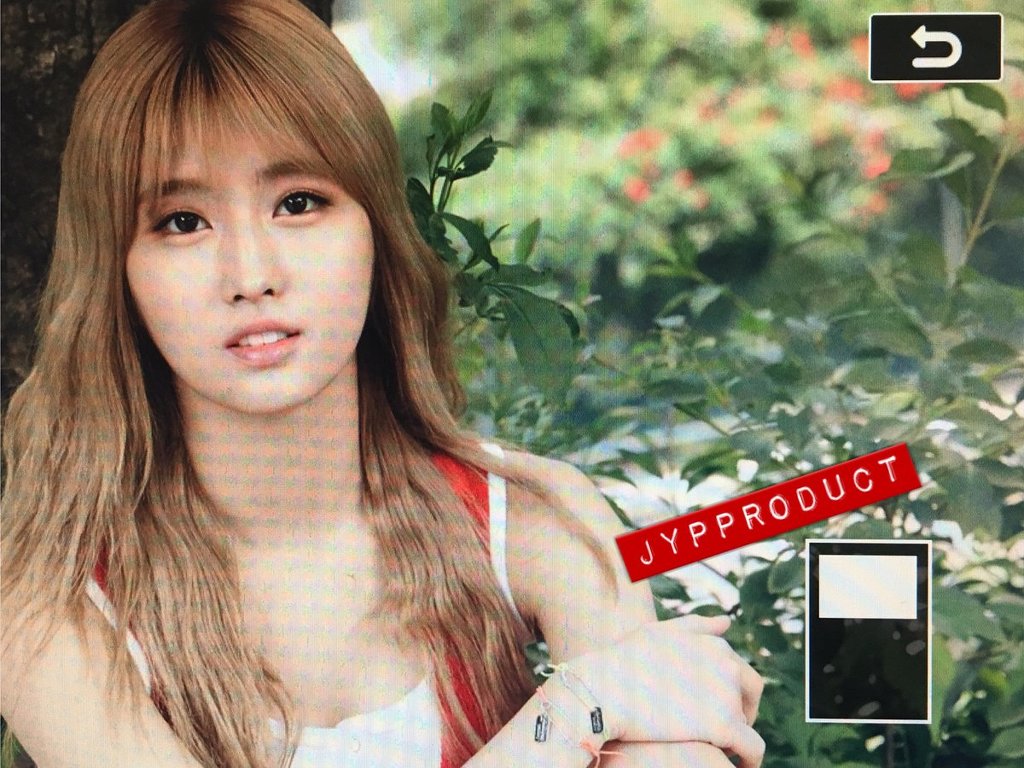 jyp가 직접 뿌린 트와이스 포토북 정연,모모,사나 프리뷰.jpg | 인스티즈