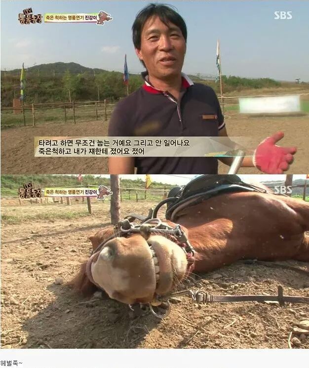 말도 안되는 말 | 인스티즈