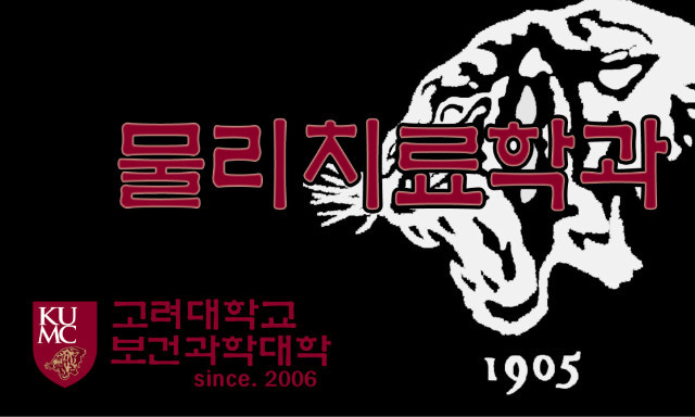 국제척추교정학회 이미지