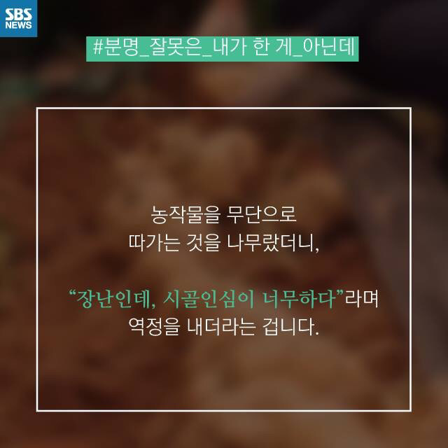 시골인심을 강요하는 사람들때문에 피해보는 농부들 | 인스티즈