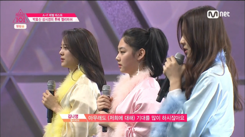 [프로듀스101] 파벌듀스101 심층분석2 - 젤리피쉬-펭귄연합 (유머글) | 인스티즈