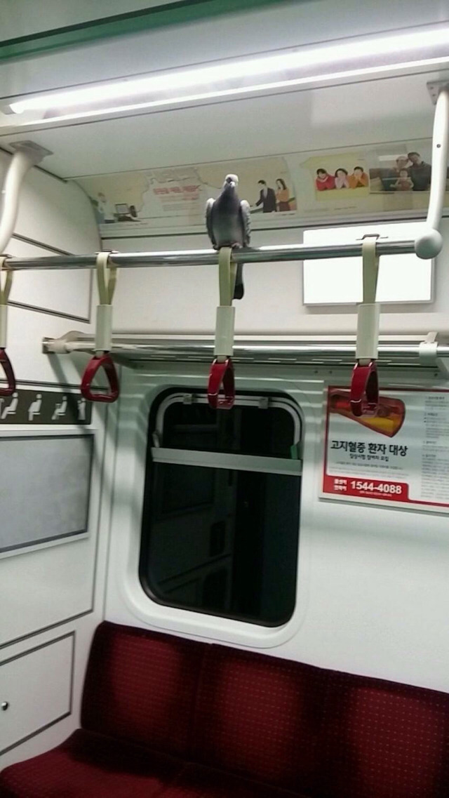 술먹고 친구가 이러면 어떻게 하실건가요 | 인스티즈